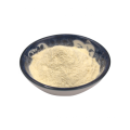 Lactobacillus Casei Powder Supplement Natural Beauty Products